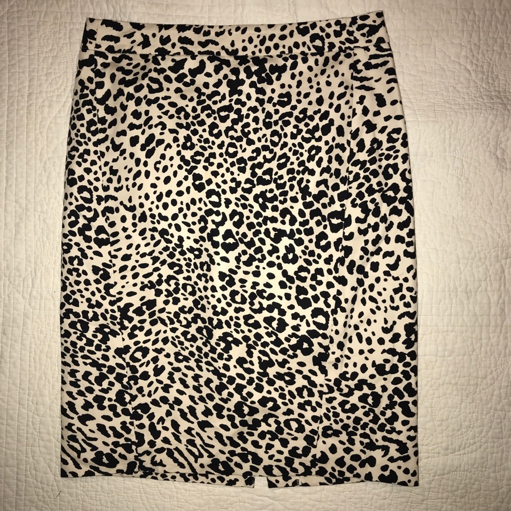 Loft Skirt